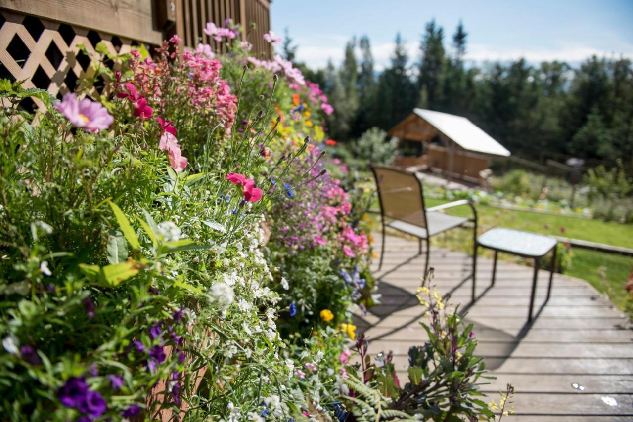 Bear Creek Winery And Lodging Panzió Homer Kültér fotó